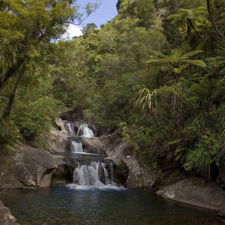Bed and Breakfast Rapaura Watergardens Tapu Exterior foto
