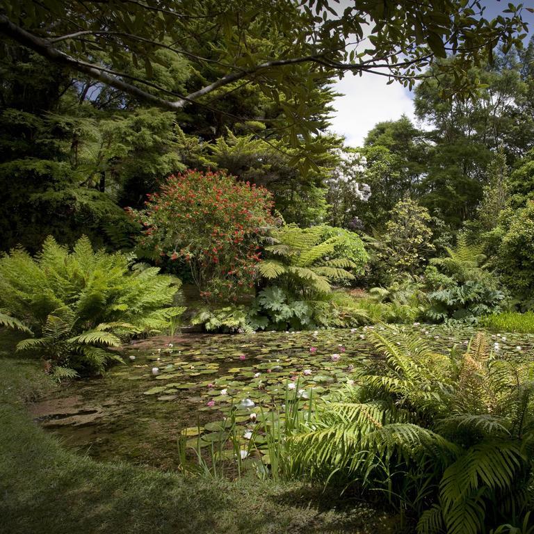 Bed and Breakfast Rapaura Watergardens Tapu Exterior foto