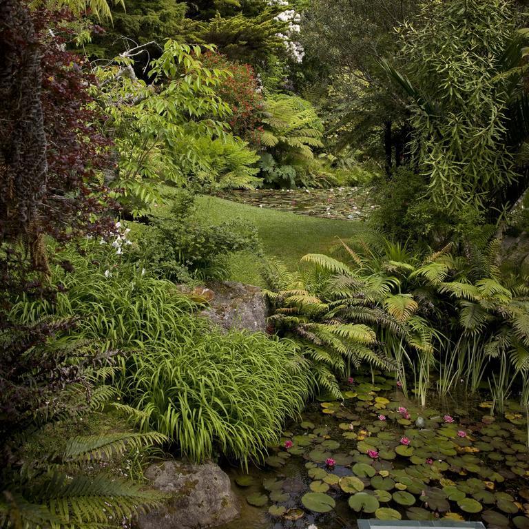 Bed and Breakfast Rapaura Watergardens Tapu Exterior foto