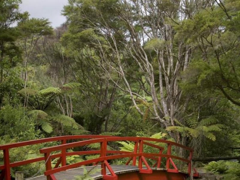 Bed and Breakfast Rapaura Watergardens Tapu Exterior foto